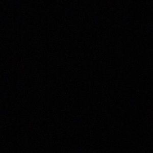 Meet your Posher, Joey